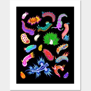 Rainbow Nudibranchs (Sea Slugs) Assortment Posters and Art